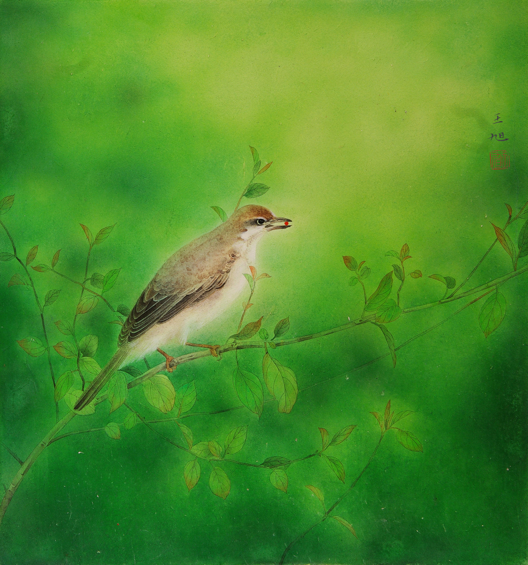 王旭工笔花鸟《红豆》